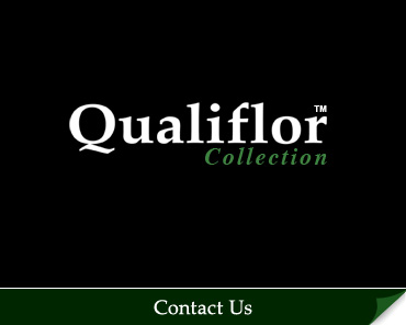 Contact the Qualiflor Collection