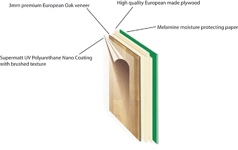 INTASA Structure