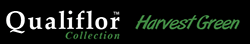 Qualiflor Collection Harvest Green